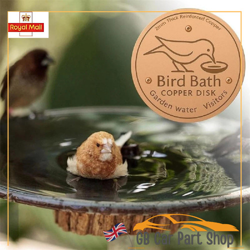 Bird bath copper disk - bath, for