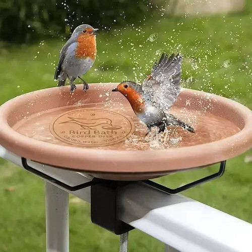 Bird bath copper - copper, disk