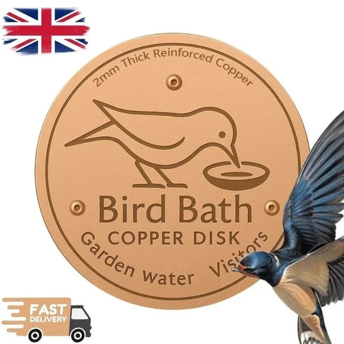 Bird bath copper disk water - copper,