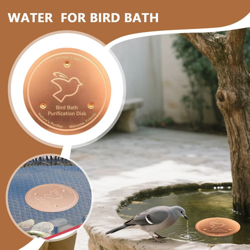 Copper bird bath - copper,