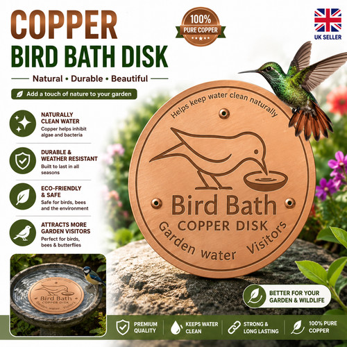 Bird bath copper disk - bath, for