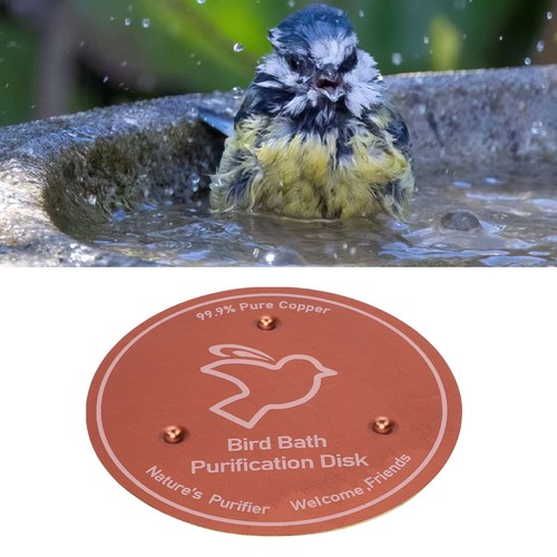 Bird bath copper disk water - copper,