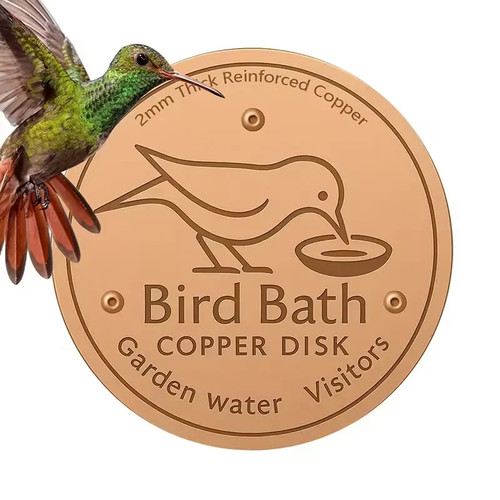 Bird bath copper disk for - disk,