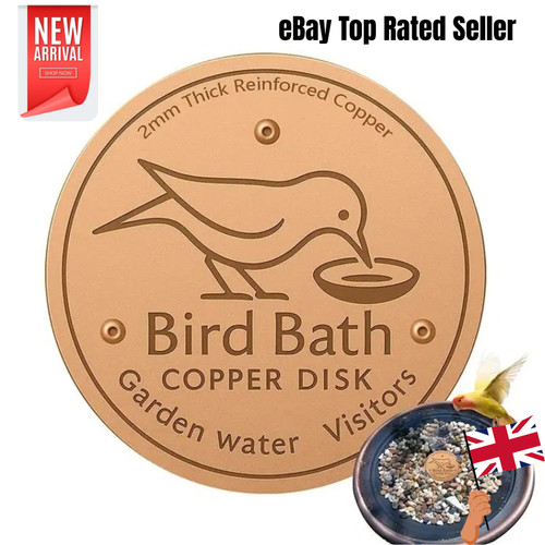 Bird bath copper - bird, disk