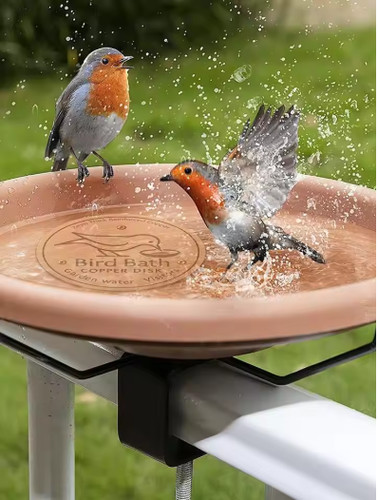 Pure copper bird bath disk - bird,