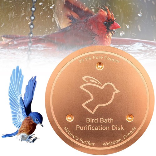 Bird bath copper - copper, disk