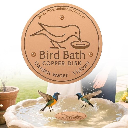 Copper bird bath - copper, cleaner