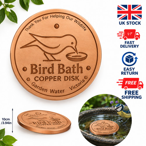 Bird bath copper disk - bath, for