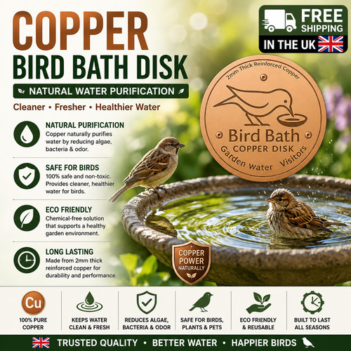 Bird bath copper - bath, for