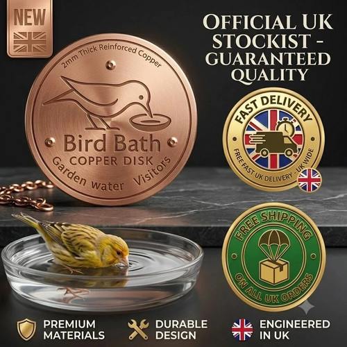 Bird bath copper disk - bath,