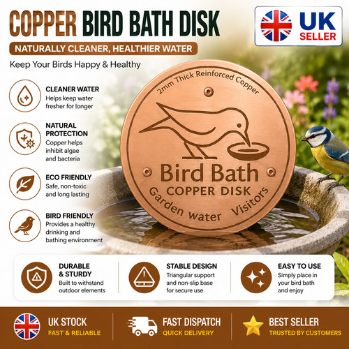 Bird bath copper disk for - copper,