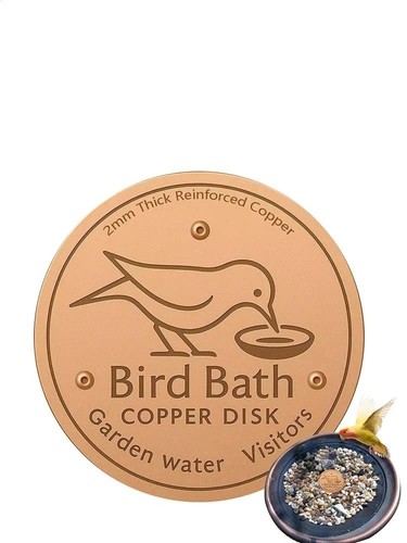 Bird bath copper disk for - bath,