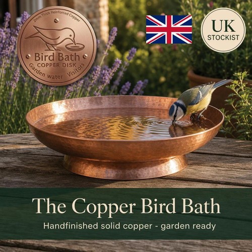 Bird bath copper disk for - bird,