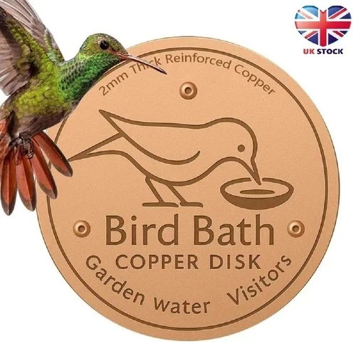 Bird bath copper disk for - bird,