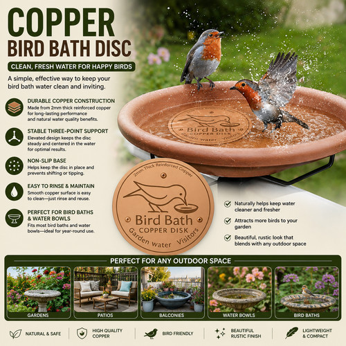 Copper bird bath disc garden - bird,