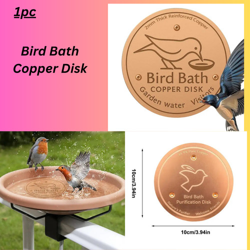 Bird bath copper disk - bird, for