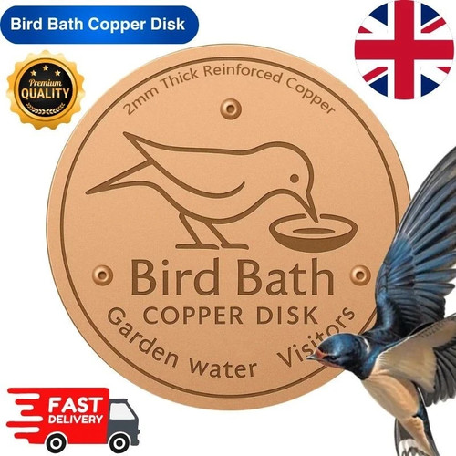 Bird bath copper disk - bath,