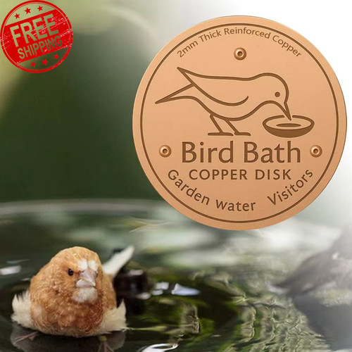 Bird bath copper - disk, for