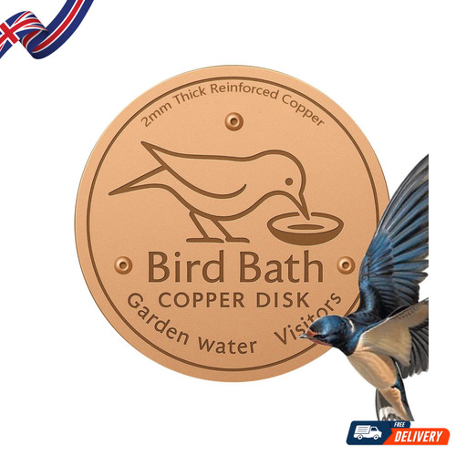 Bird bath copper disk - bath,