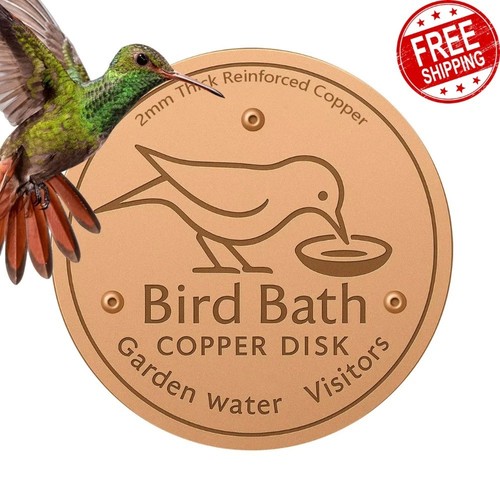 Bird bath copper disk - disk, for