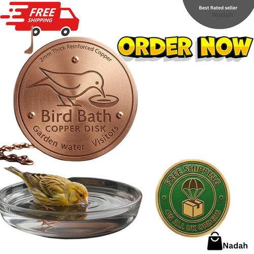 Bird bath copper disk for - bird,