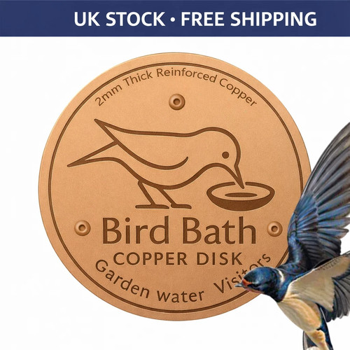 Bird bath copper disk - bath,