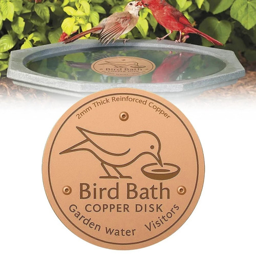 Bird bath copper disk - bird,