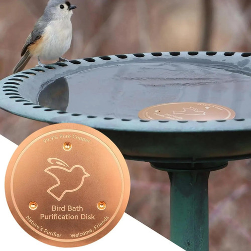 Bird bath copper disk 06mm - copper,