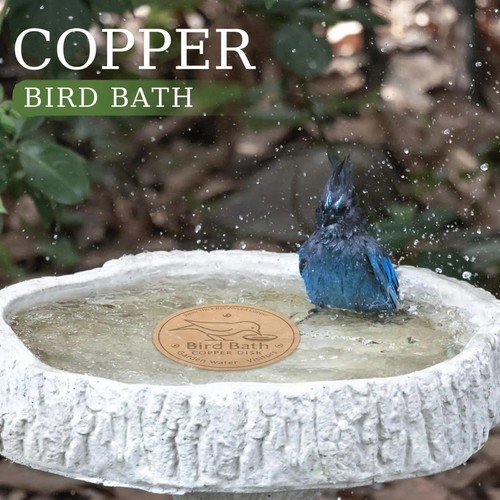 Copper bird bath purification - copper,