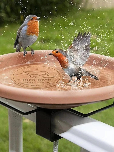 Bird bath copper - copper, for