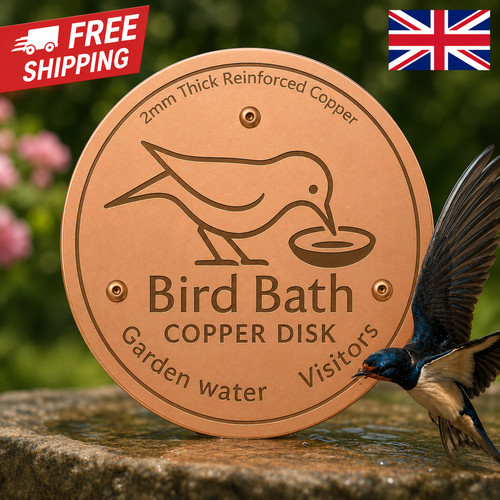 Bird bath copper disk for - bird,