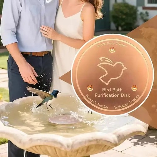Bird bath copper disk for - bath,