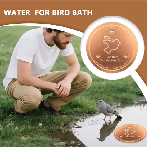 Bird bath copper disk for - bath,