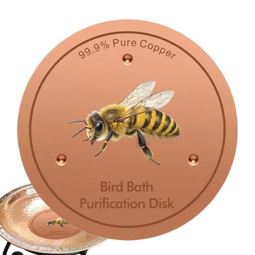 Bird bath purification disk - bird,