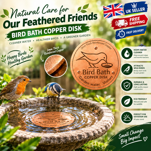 Bird bath copper - bird, disk