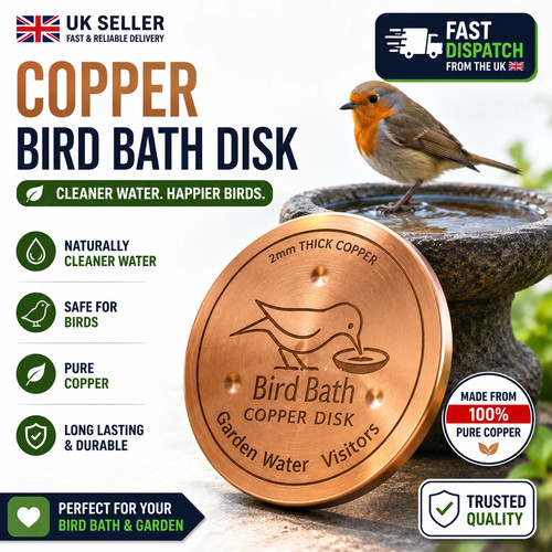 Copper bird bath purification - bird,