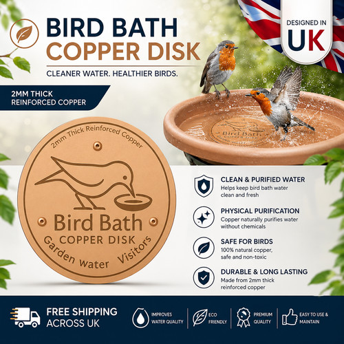 Bird bath copper - disk, for