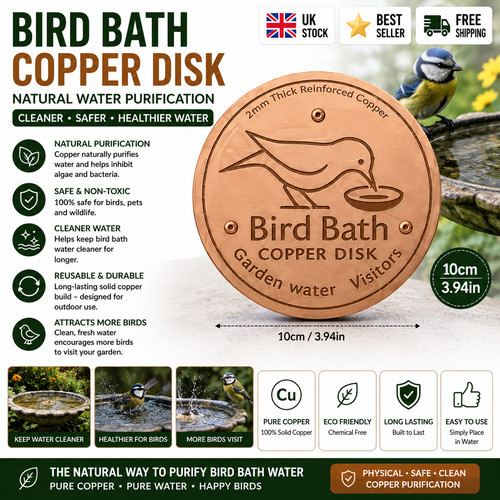 Bird bath copper disk for - bird,