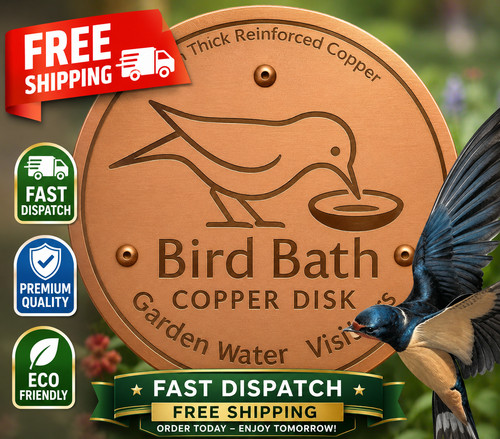 Bird bath copper disc - disc, water