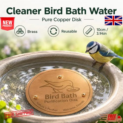Bird bath copper - bird, disk