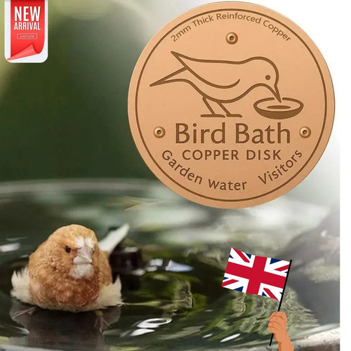 Bird bath copper disk for - copper,