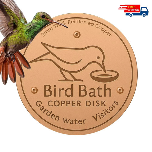 Bird bath copper - bath, for
