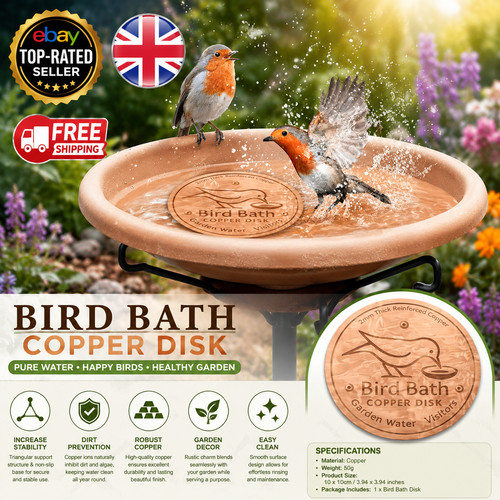 Bird bath copper disk - bath,
