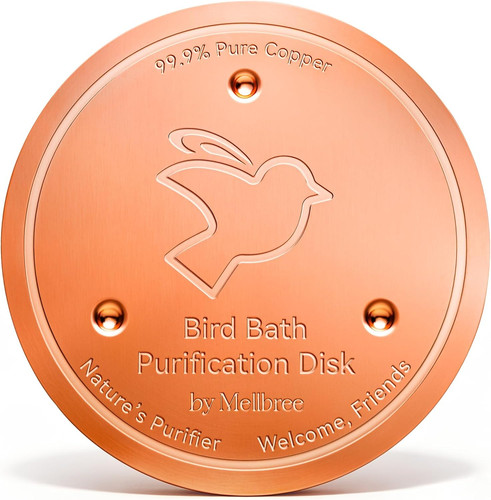 Bird bath copper disk - bird,