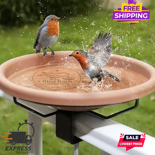 Bird bath copper disk for - bird,