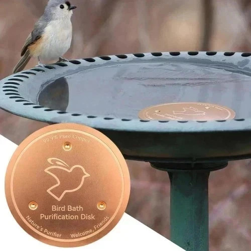 Bird bath copper disk 6mm - bird, 0.6mm