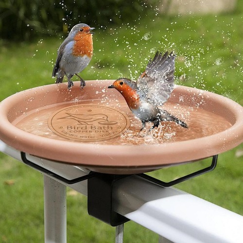 Bird bath copper disk - copper, for