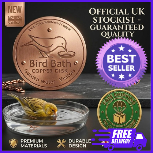Bird bath copper - bird,