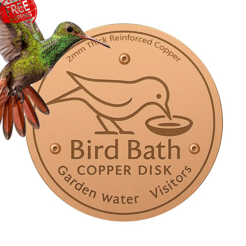 Bird bath copper disk for - bird,